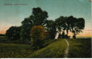 Postkarte vom Korbhaus aus dem Jahre 1909. Blick auf den Weserdeich aus Richtung Dreye